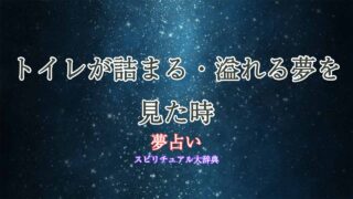 夢占いトイレ-詰まる-溢れる