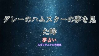 夢占いハムスター-グレー