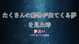 夢占い動物-たくさん