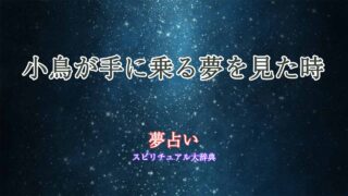 夢占い小鳥-手に乗る