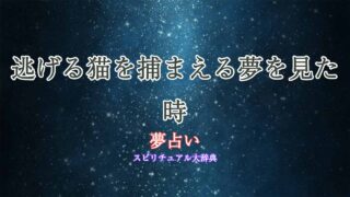 夢占い猫-逃げる-捕まえる