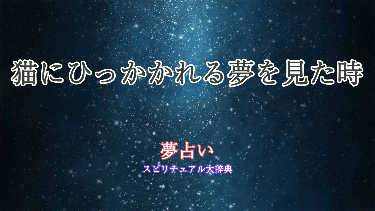 夢占い猫にひっかかれる