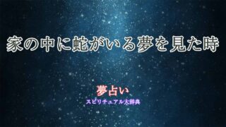 夢占い蛇が家の中にいる