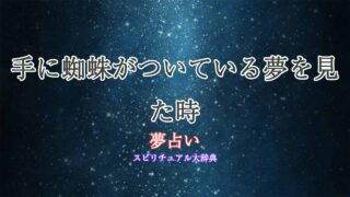 夢占い蜘蛛が-手につく