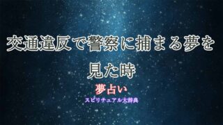 夢占い警察に捕まる夢-交通違反