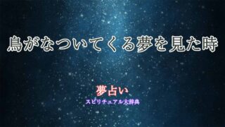 夢占い鳥-なつく