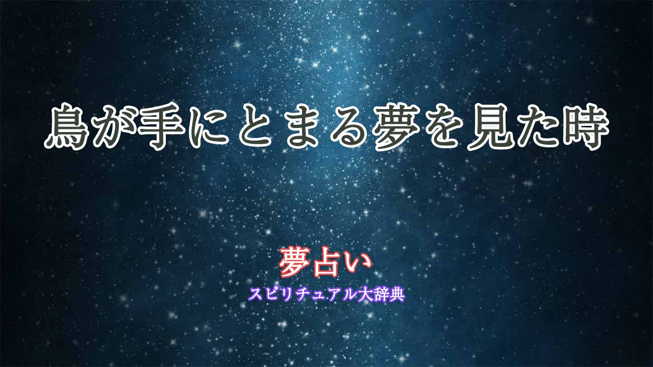 夢占い鳥が手にとまる