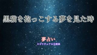 夢占い黒猫-抱っこ