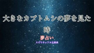 大きなカブトムシ-夢占い