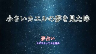 小さいカエル-夢占い