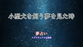 小型犬を飼う-夢占い