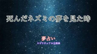 死んだネズミ-夢占い