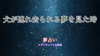 犬-連れ去られる-夢占い