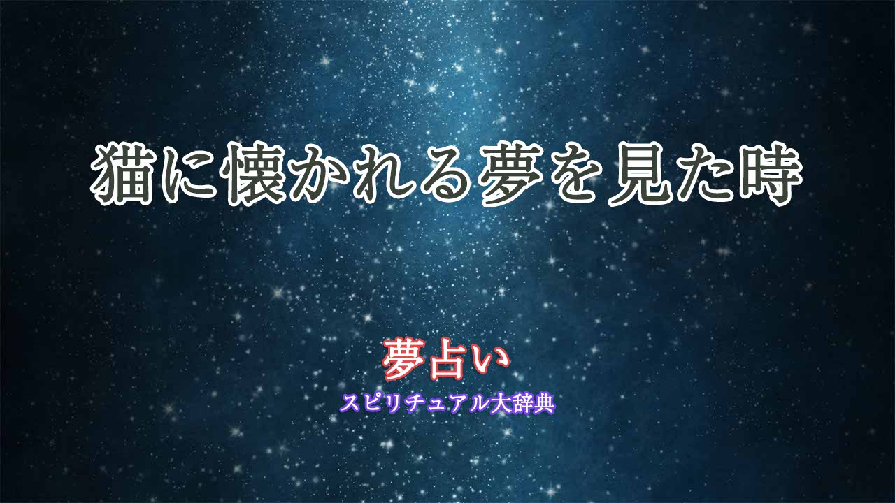 猫-懐かれる-夢占い