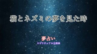 猫とネズミ-夢占い