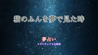 猫のふん-夢占い