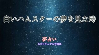白いハムスター-夢占い