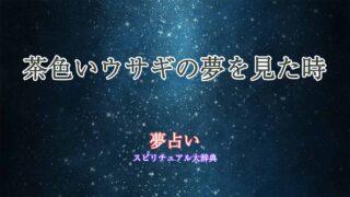 茶色いウサギ-夢占い