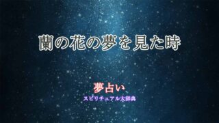 蘭の花-夢占い