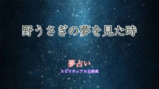 野うさぎ-夢占い