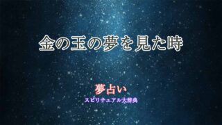 金の玉-夢占い
