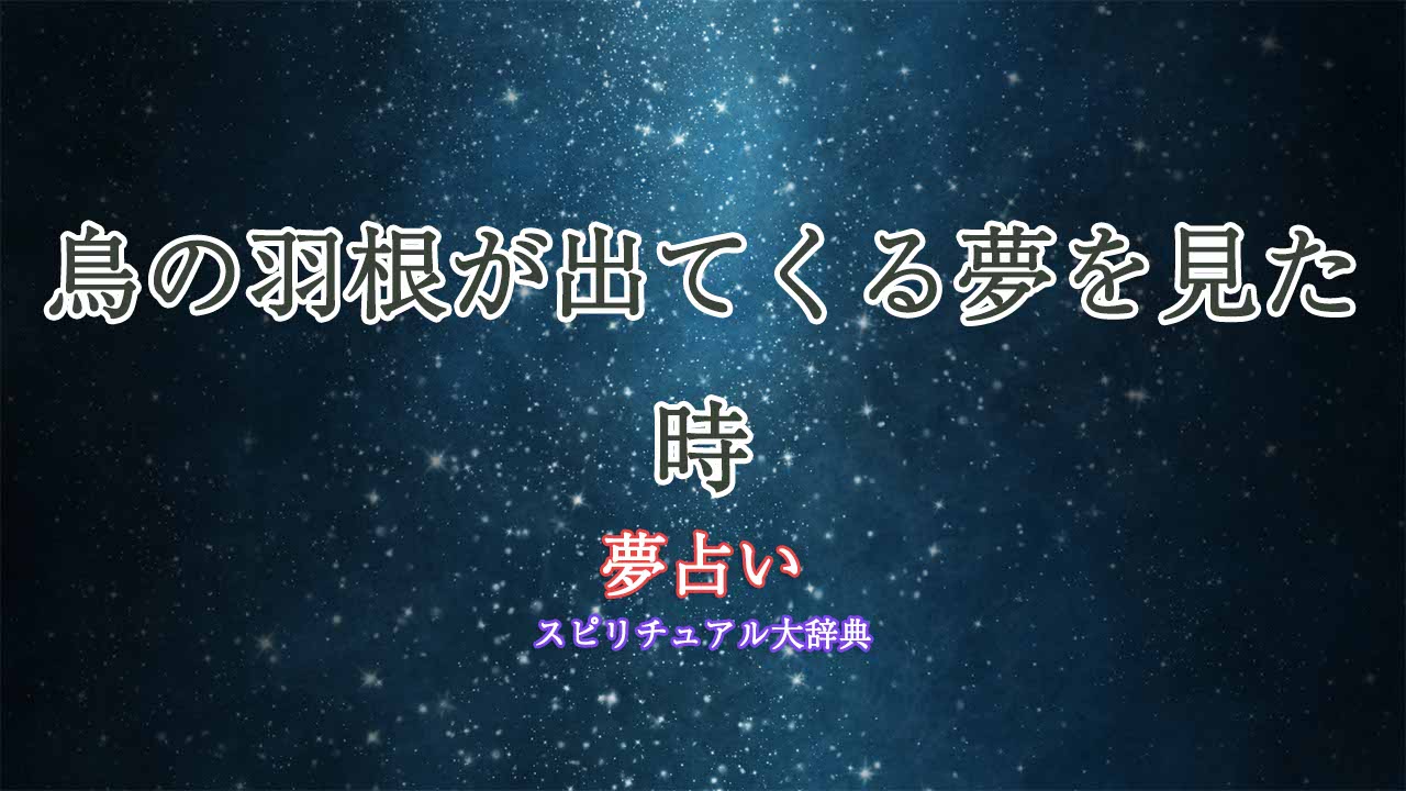 鳥の羽根-夢占い