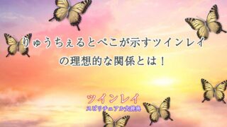 りゅうちぇる-ぺこ-ツインレイ
