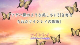アゲハ蝶-ツインレイ