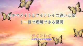 カルマメイト-ツインレイ-違い
