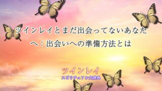 ツインレイ-まだ出会ってない