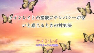 ツインレイ-テレパシーない
