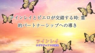 ツインレイ-ピエロ