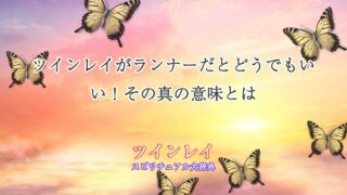 ツインレイ-ランナー-どうでもいい