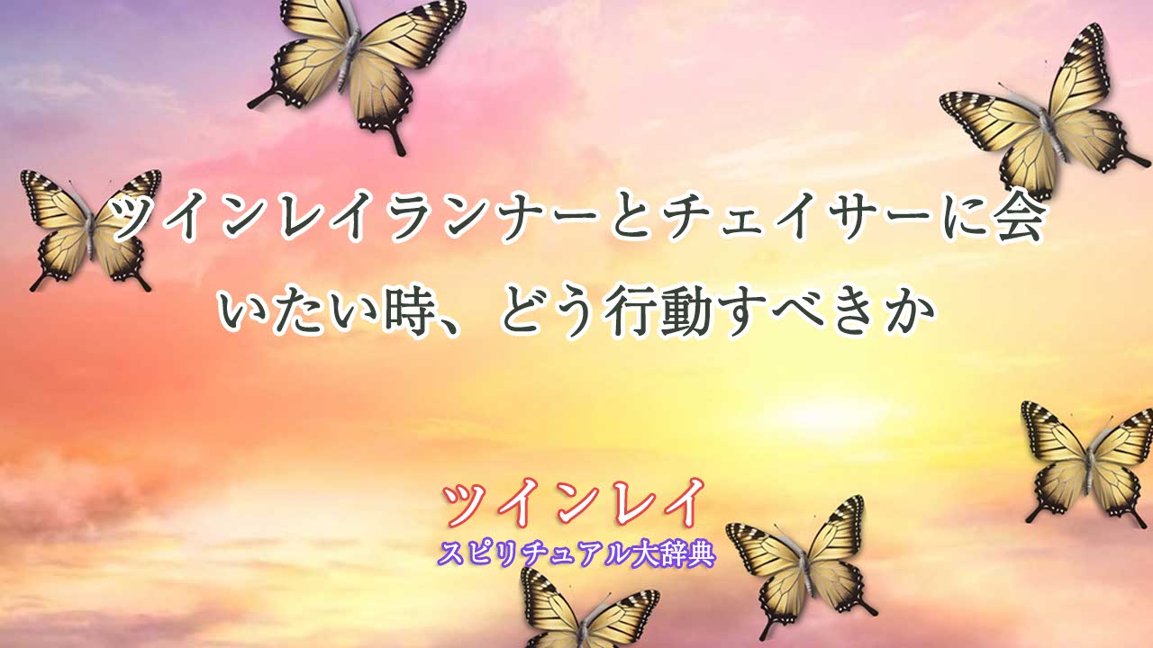 ツインレイ-ランナー-チェイサーに-会-いたい