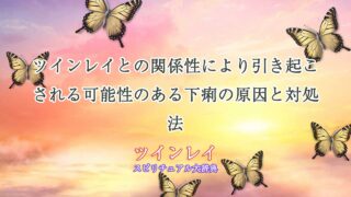 ツインレイ-下痢