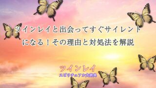 ツインレイ-出会ってすぐ-サイレント