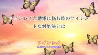 ツインレイ-動悸-サイレント