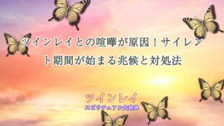 ツインレイ-喧嘩-サイレント