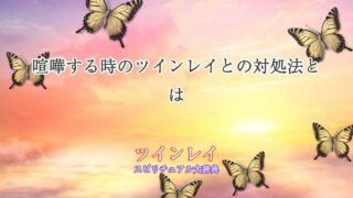 ツインレイ-喧嘩する