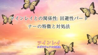 ツインレイ-回避性