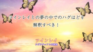 ツインレイ-夢-ハグ