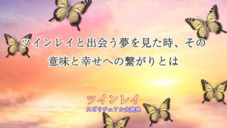 ツインレイ-夢-幸せ