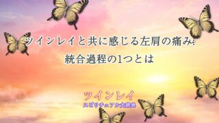 ツインレイ-左肩-痛み-統合