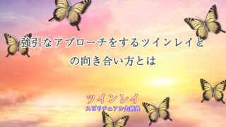 ツインレイ-強引