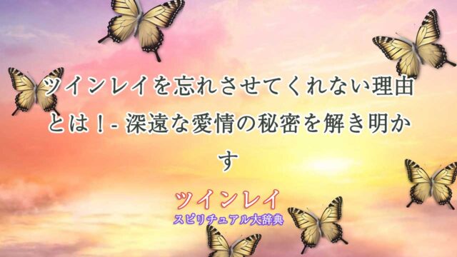 ツインレイ-忘れ-させ-てくれない