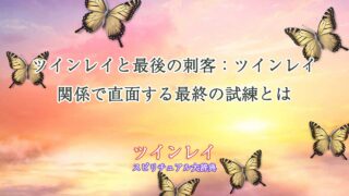 ツインレイ-最後の刺客