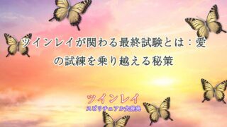 ツインレイ-最終試験