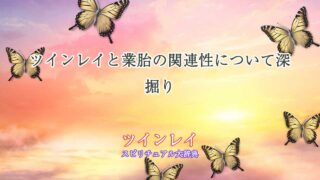 ツインレイ-業胎