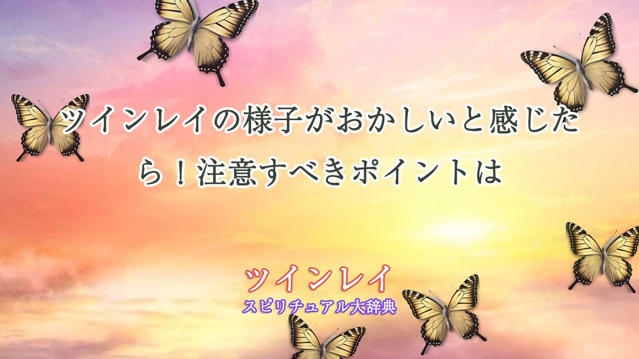 ツインレイ-様子がおかしい