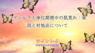 ツインレイ-浄化-肌荒れ